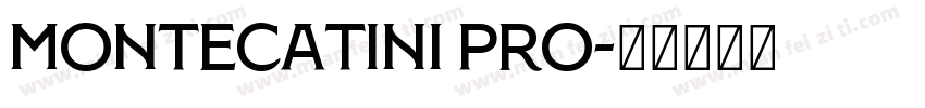 Montecatini Pro字体转换